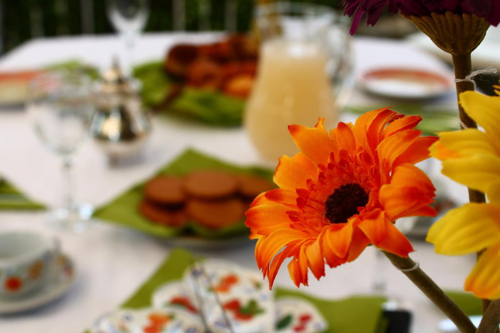 チャンピーノ La Casa Della Musica Bed & Breakfast エクステリア 写真